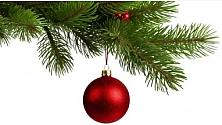 Xmas branch2